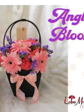 Angle Bloom